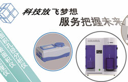 1-26061G541595X